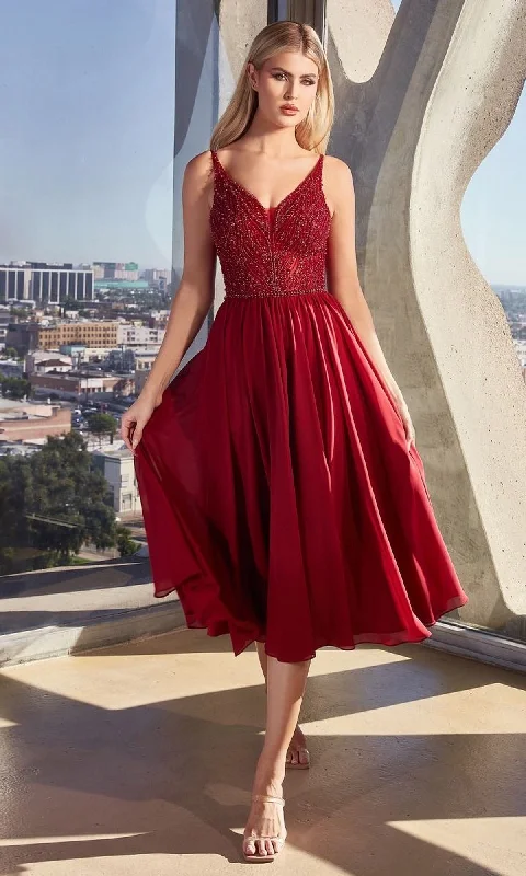 Sheer-Bodice Tea-Length A-Line Party Dress CD0225 Tunics Short Trendy